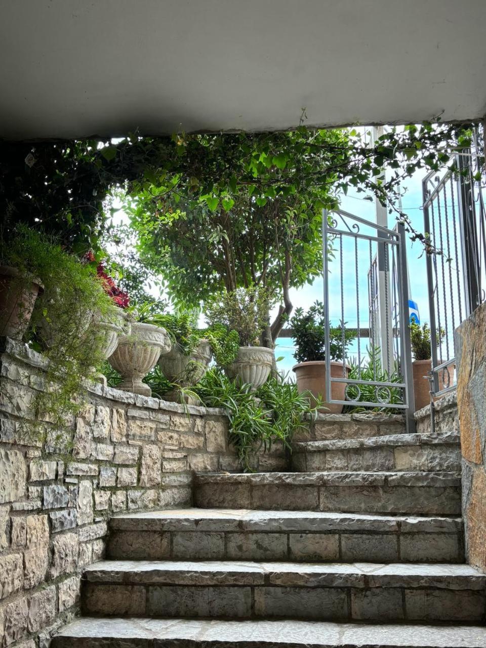 Guest House Adi Hoxha Berat Ngoại thất bức ảnh